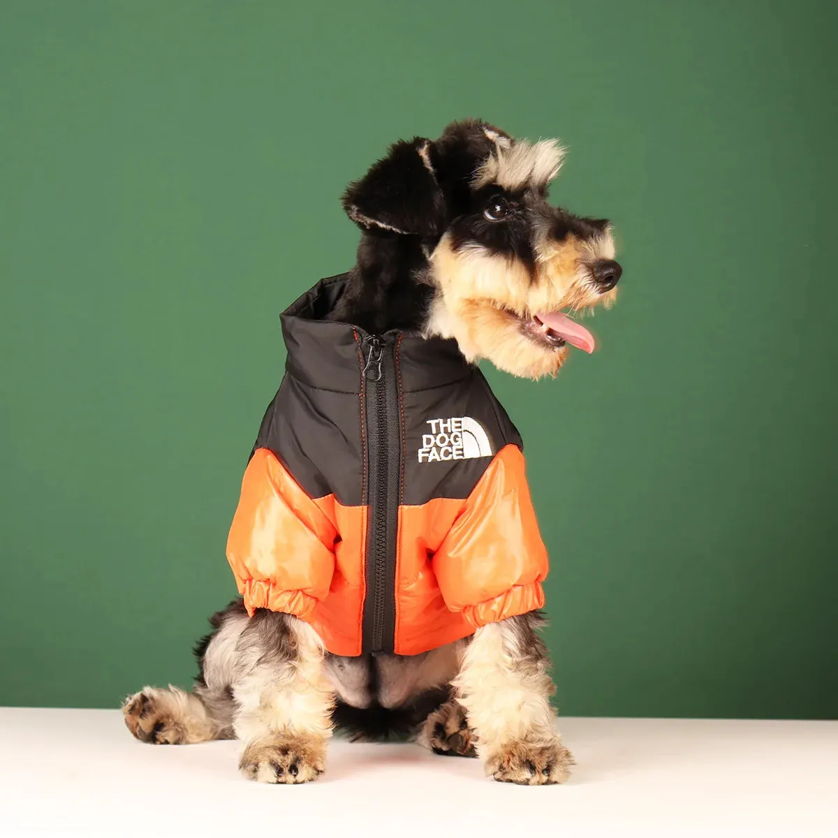 "The Dog Face" Down Puffer Jacket